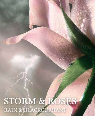 Absolue Storm & Roses Eau de Parfum