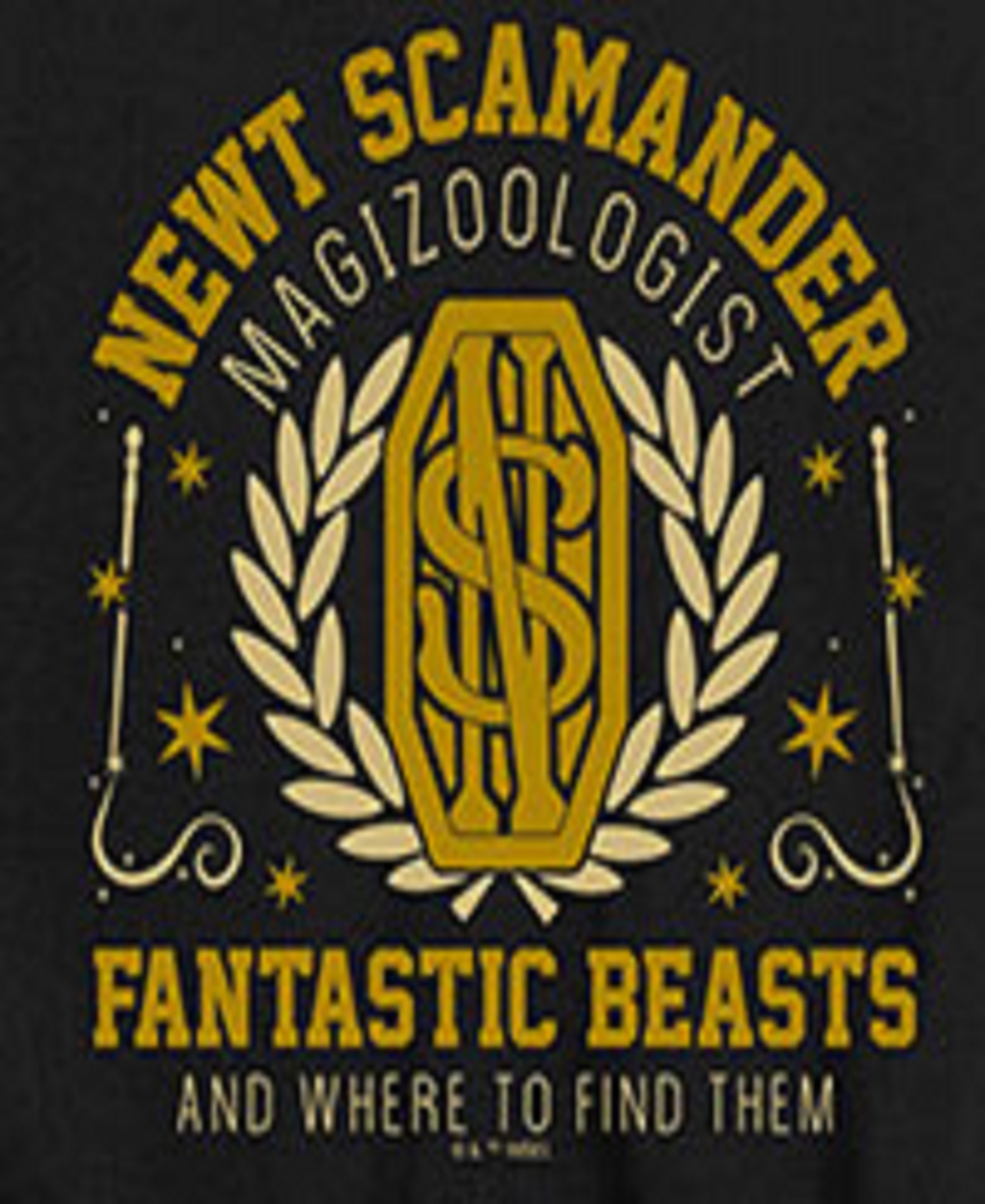 Hybrid Big Boys Harry Potter Newt Scamander Graphic Tee In Black