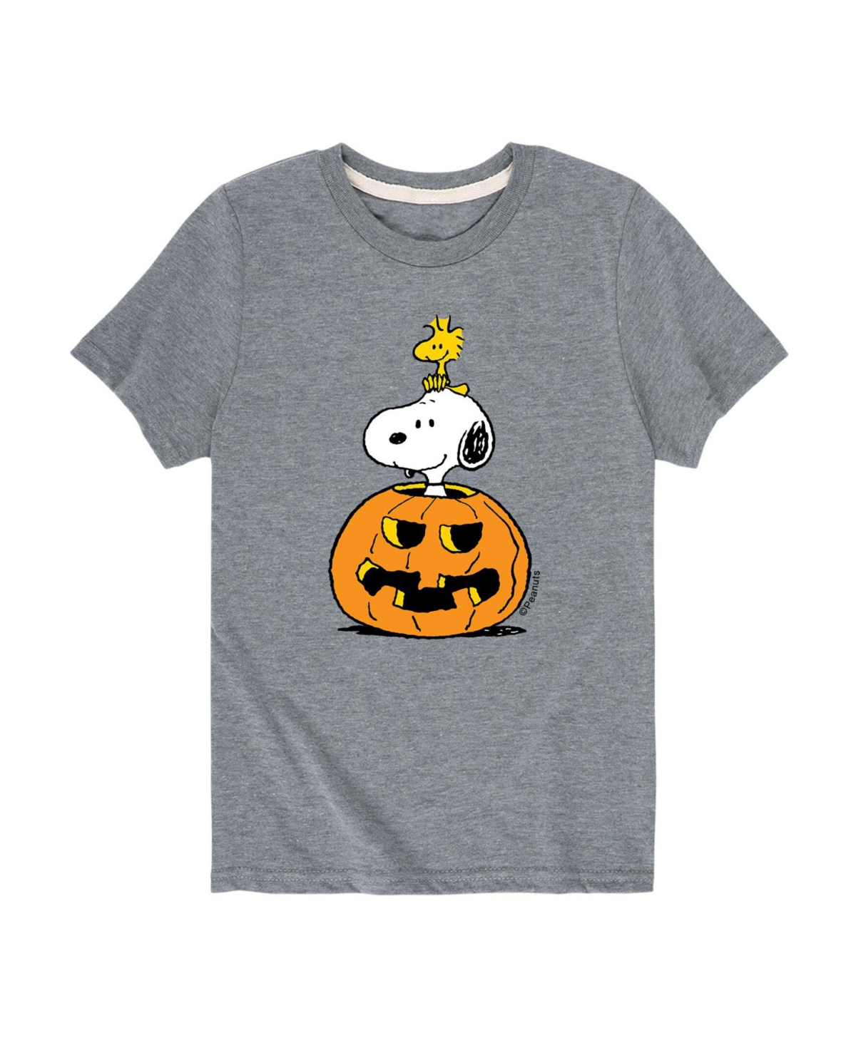 Hybrid Big Boys Peanuts Snoopy Pumpkin Graphic Tee In Grey