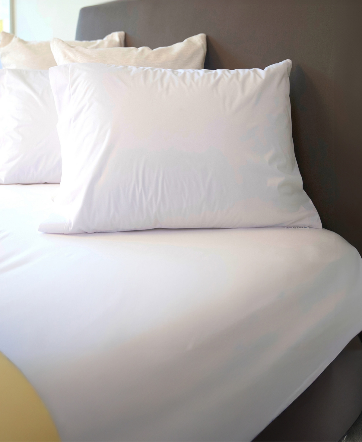 Cleanbrands Pro Zippered 2-pack Pillow Protector, King In White