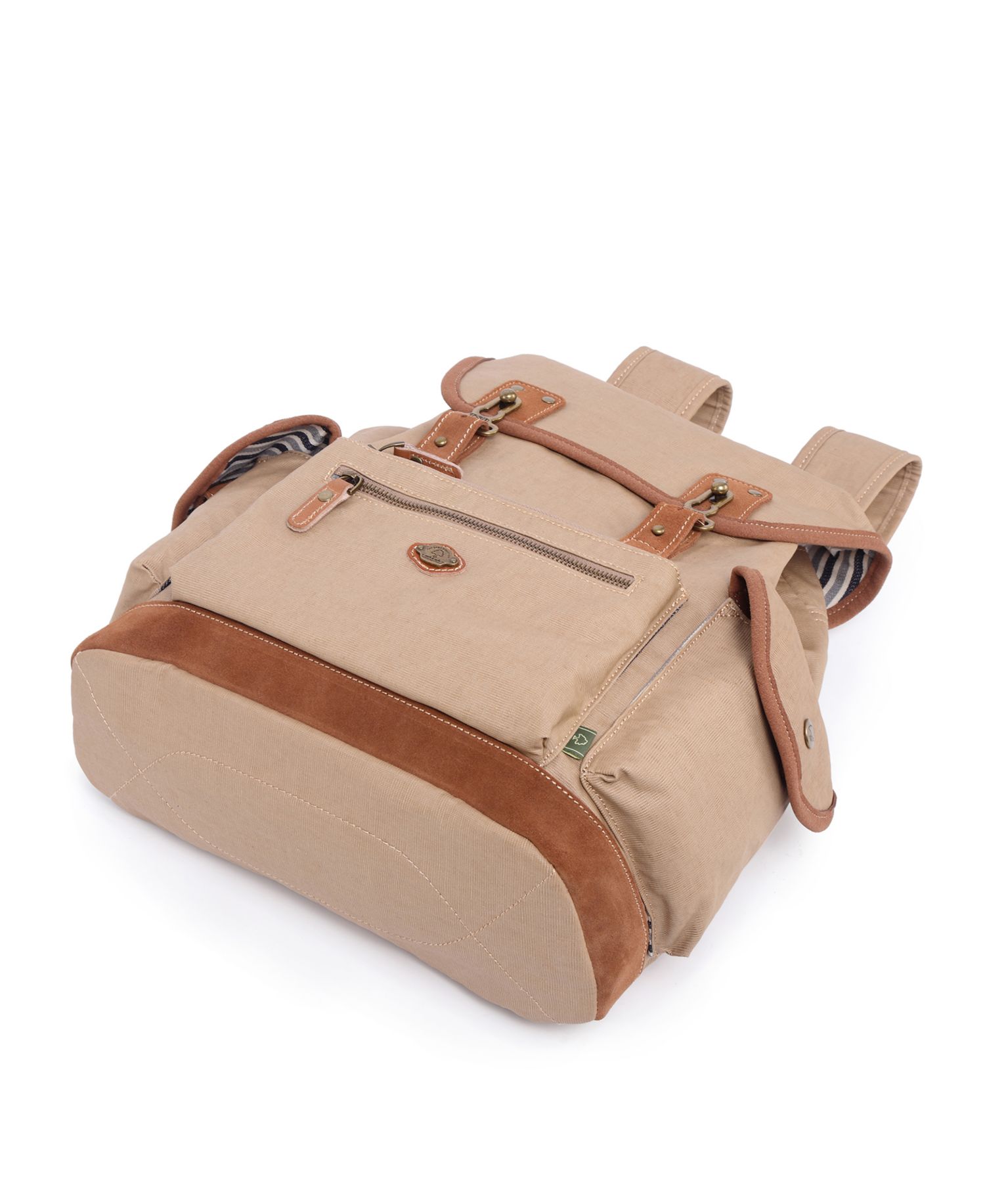 Dolphin Canvas Backpack