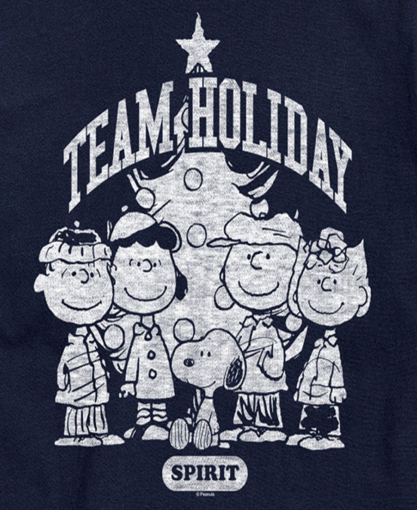 Мужская футболка AIRWAVES Peanuts Team Holiday Short Sleeve, цвет: Синий — фото 3