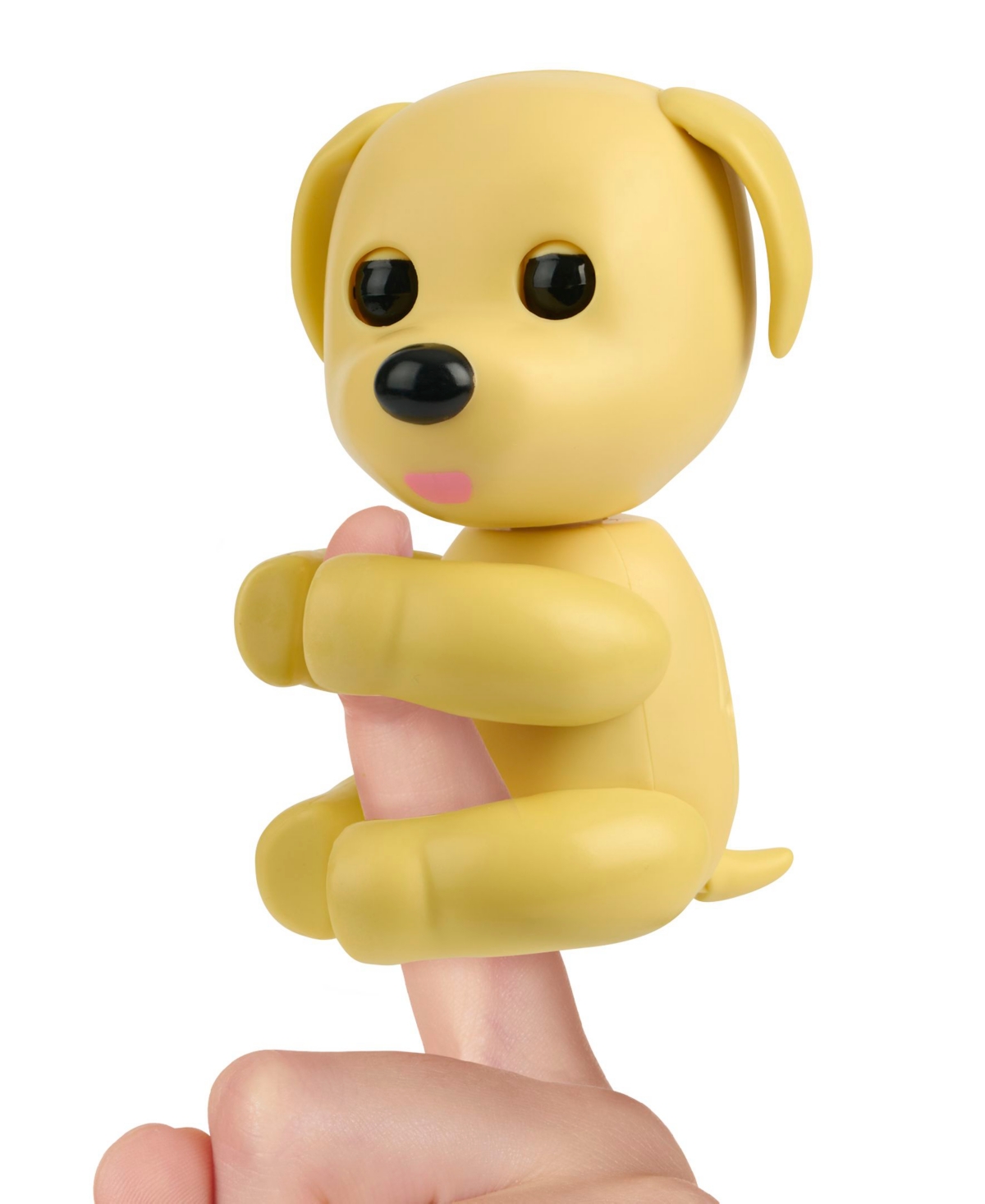 Shop Fingerlings X Adopt Me Dog In Multicolor