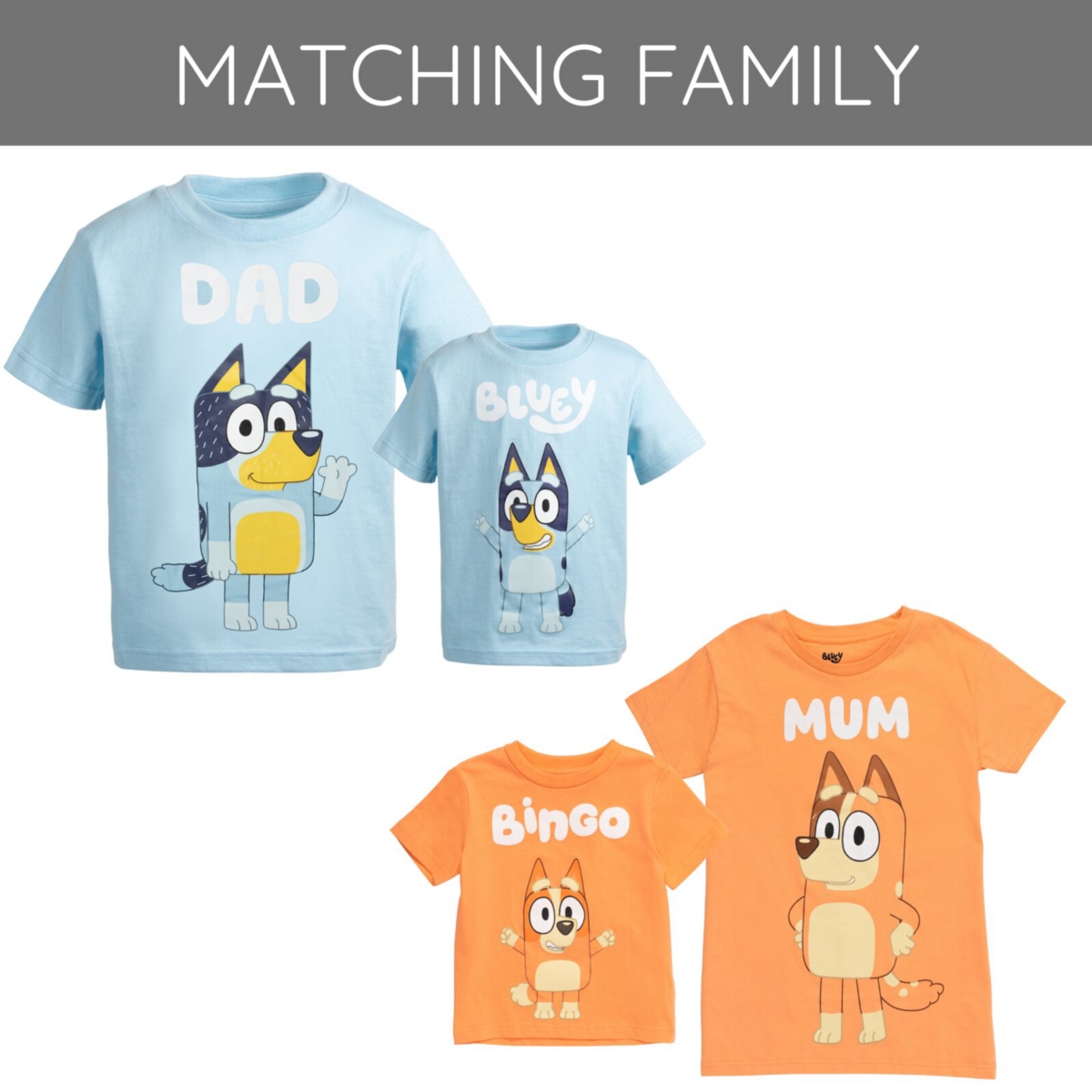 Bluey Boys Adult Matching Family T-Shirt (X-Small - 3XL) - blue