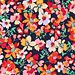 Navy/coral Floral