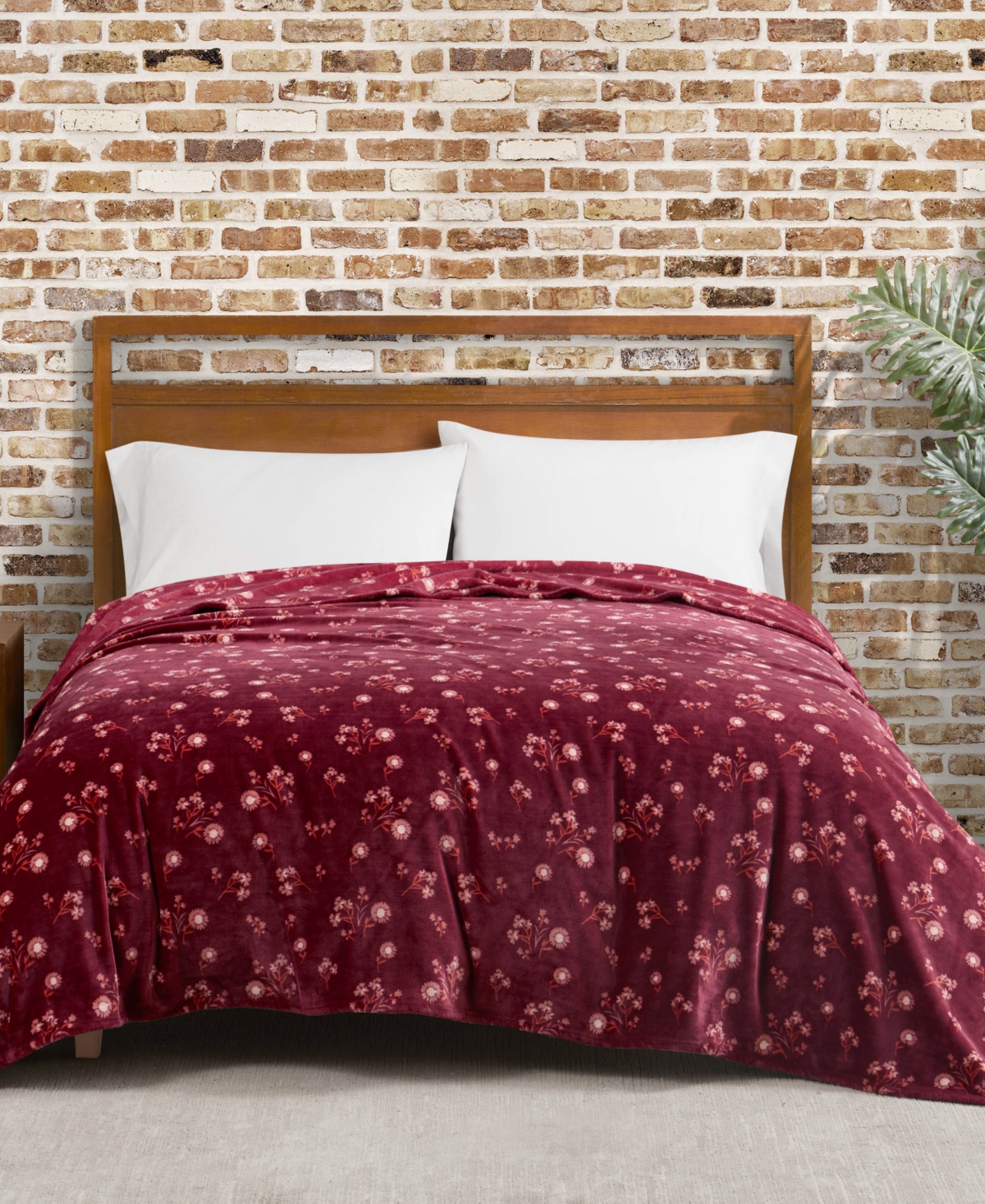 Lucky Brand Daisy Floral Cozy Plush Blanket, Twin/twin Xl In Red