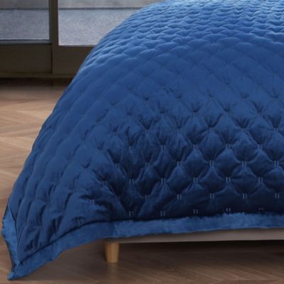 3 Piece Queen Size Velvet Comforter Set