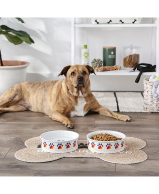 Rainbow Paw Pet Bowl Set/2