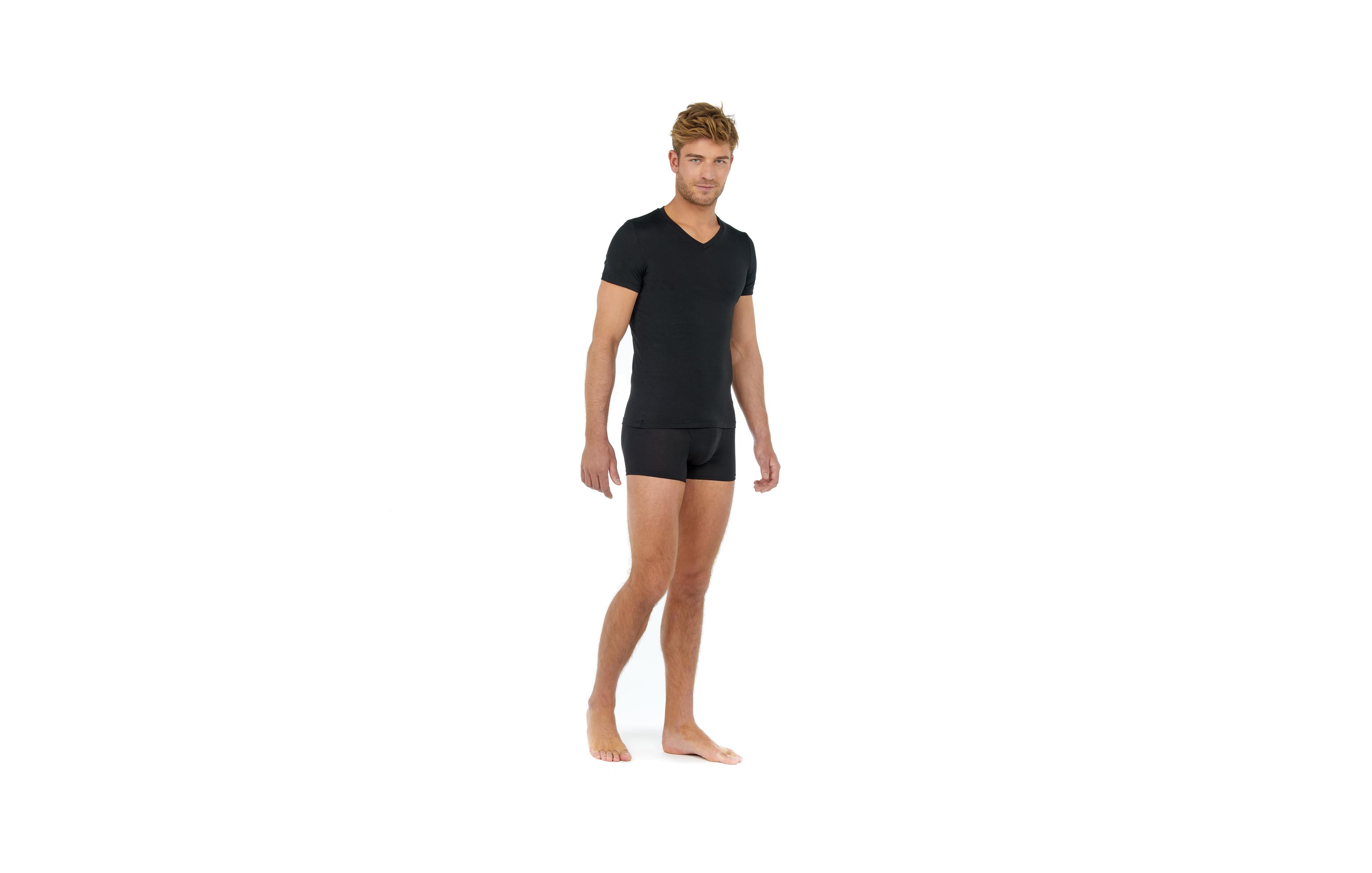 Hom Usa Men's V-Neck T-Shirt