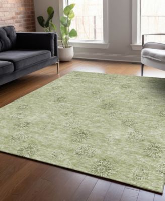 Chantille Machine Washable ACN789 9'x12' Area Rug