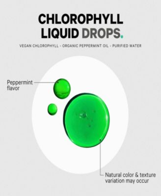 Chlorophyll Liquid Drops Supplement - Chlorophyll 50 mg per Serving, Liquid Chlorophyll Water, Organic Peppermint Flavor Clorofila, 2 fl oz