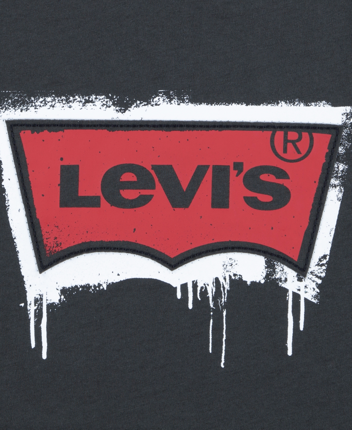 Levi's Big Boys Painted Batwing Tee