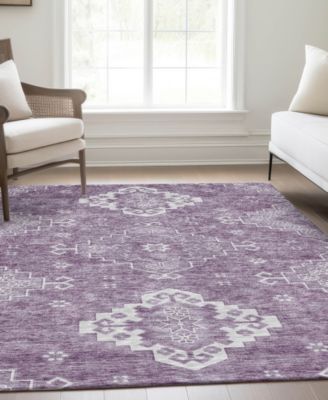 Chantille Machine Washable ACN847 2'6"x3'10" Area Rug