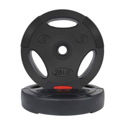 Standard 20 Pound Coded Olympic Weight Plate, Black (Set of 2)