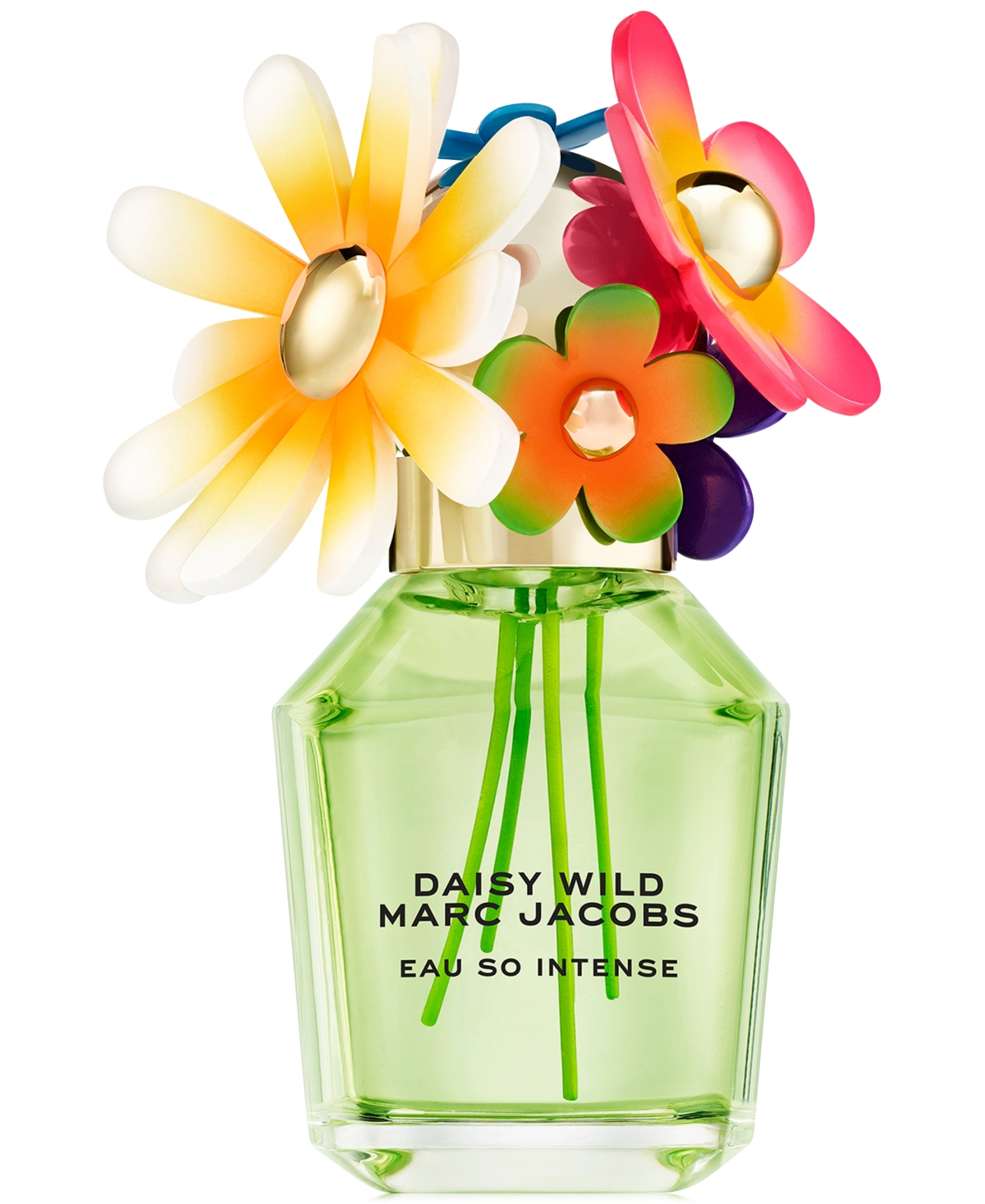 Daisy Wild Eau So Intense Eau de Parfum, 1.6 oz.