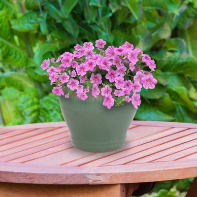 UV- and Frost-Resistant Ceramic Flower Pot Planter with Drainage Holes