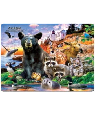 Acadia National Park 48 Piece Tray Puzzle