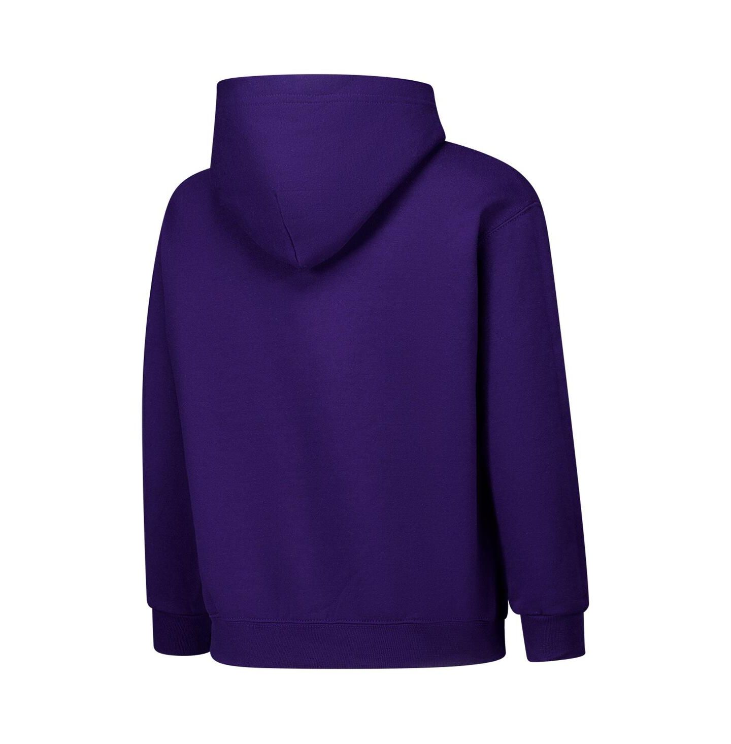 Детское худи Champion Purple LSU Tigers Campus Pullover — фото 2