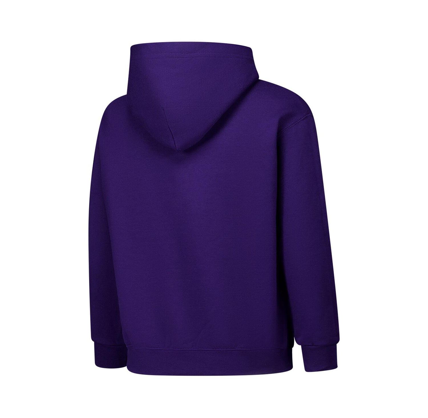 Big Boys and Girls Purple LSU Tigers Campus Pullover Hoodie