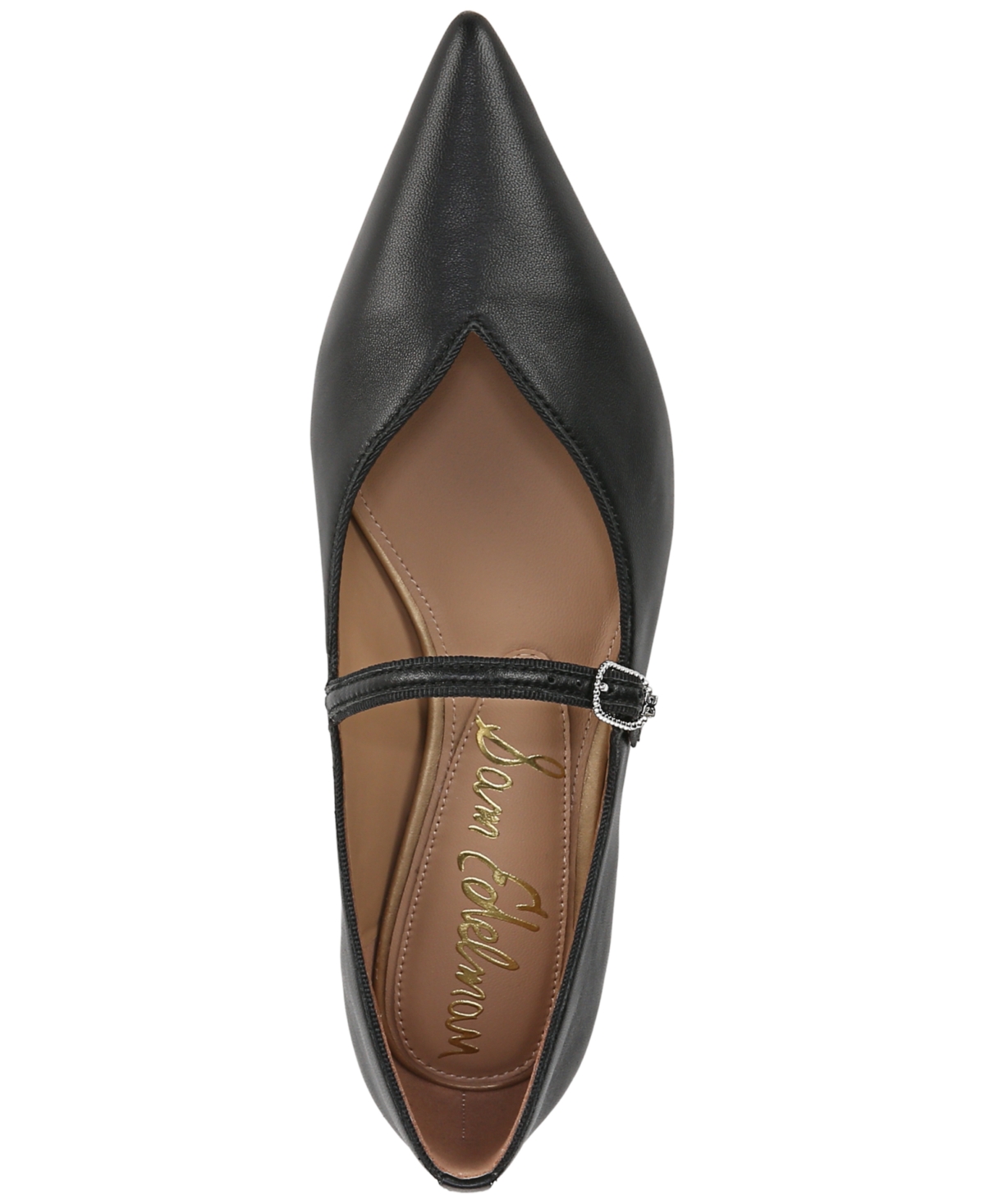 Sam Edelman Noa Mary Jane Pointed Toe Flat In Black Leather