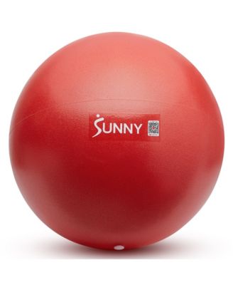 Sunny Health & Fitness