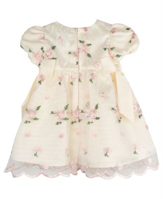 Baby Girls Embroidered Mesh Social Dress