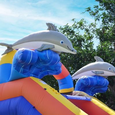 Dolphin Splash 14 Ft Commercial Grade Inflatable Water Slide with Deep Pool (with Blower)