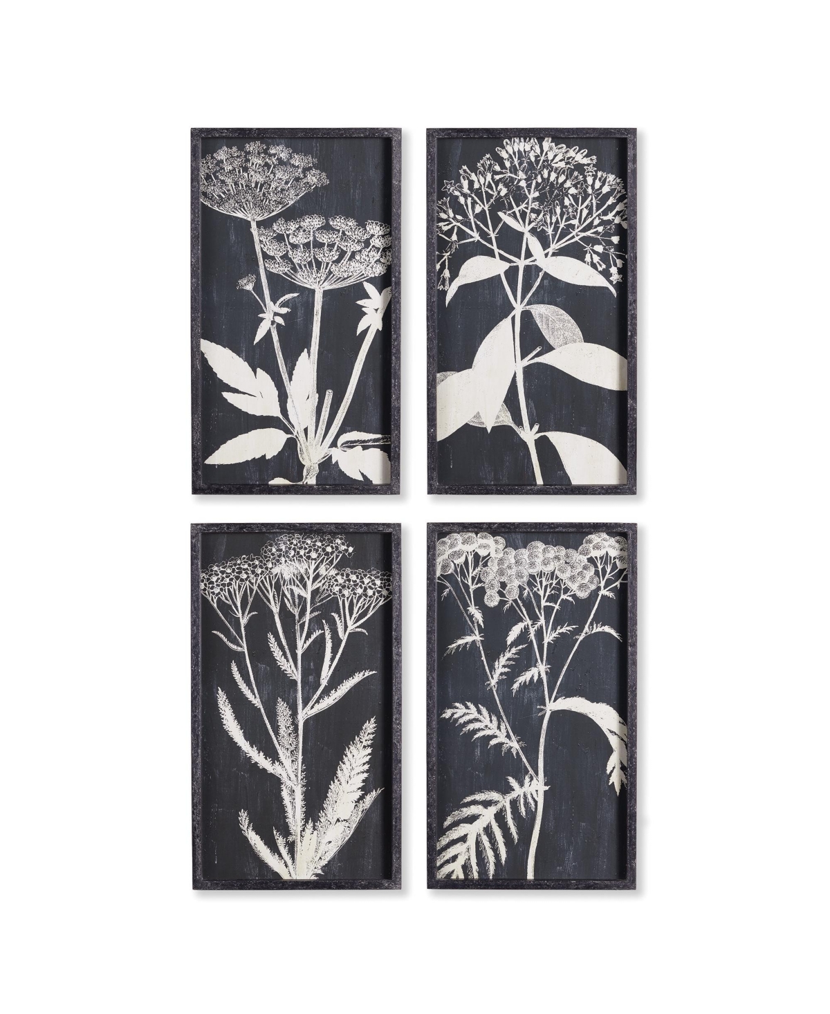 Monochrome Queen Anne's Lace Prints, Set Of 4