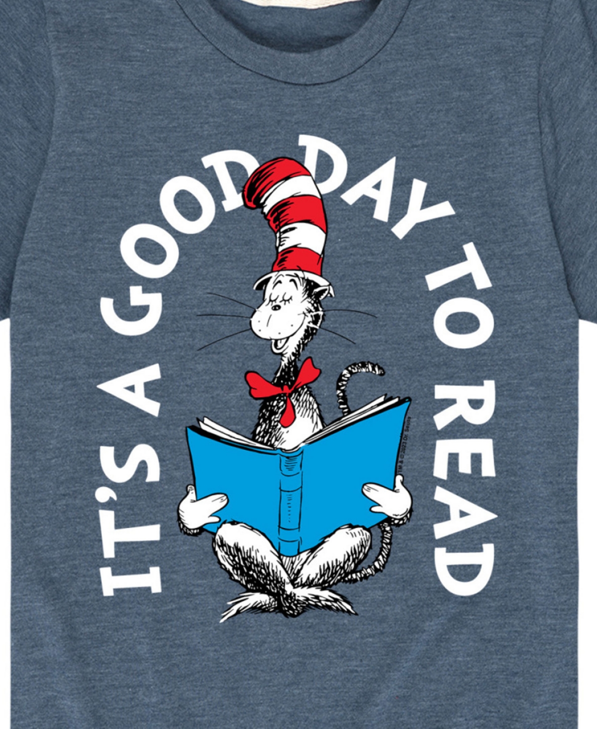 Hybrid Big Boys Dr. Seuss It's A Good Day To Read Graphic T-shirt In Blue