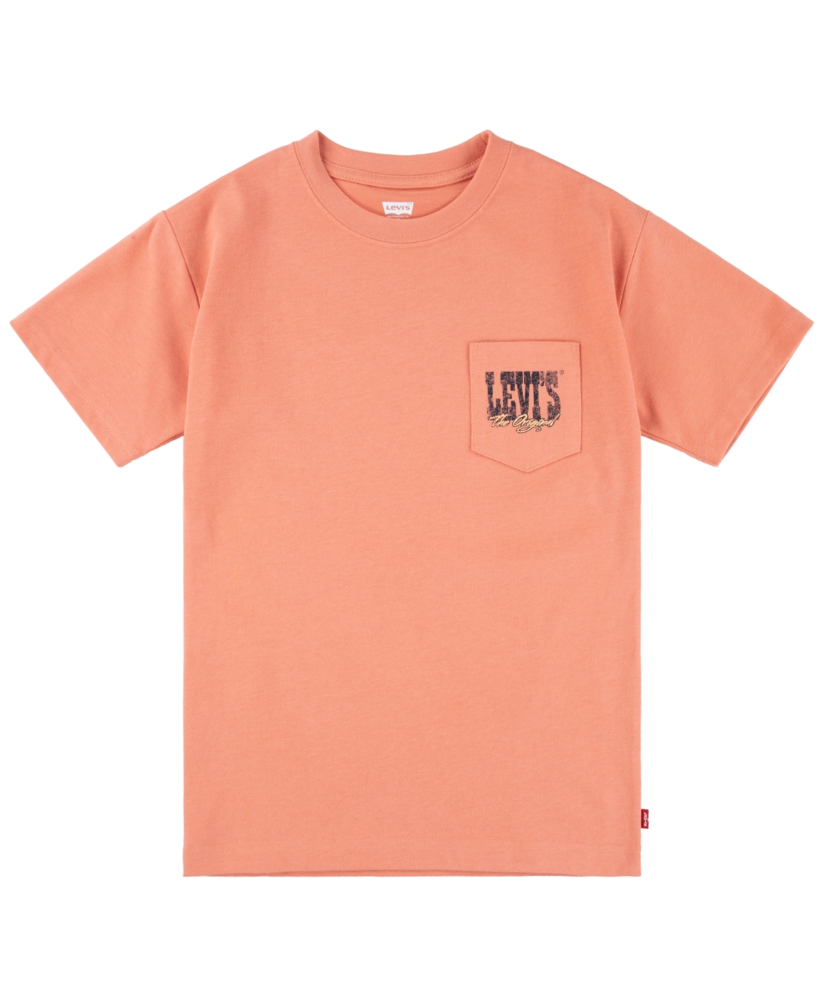 Levi's Toddler & Little Boys Canyon Landscape T-Shirt
