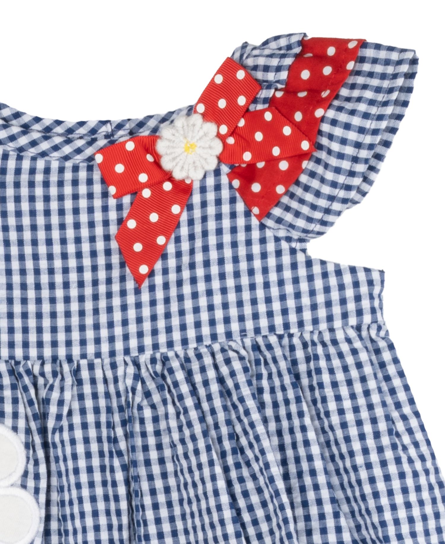 Baby Girls Lady Bug Seersucker Dress