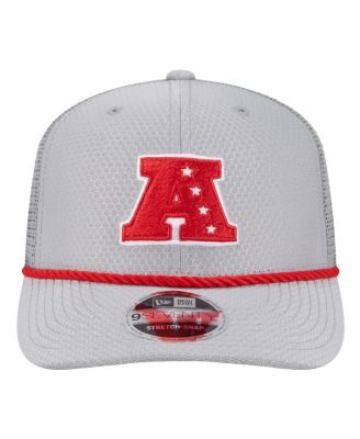 Men's Gray Buffalo Bills 2025 Pro Bowl 9SEVENTY Stretch-Snap Hat