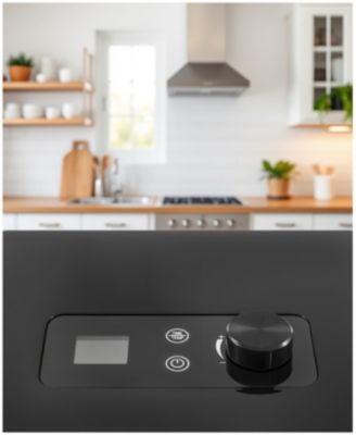 Digital Food Dehydrator with 4 Stainless Steel Trays