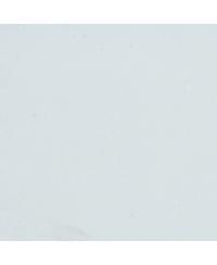 Men's Weezy Logo Slide