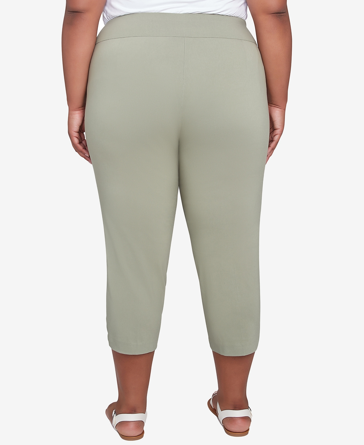 Hearts Of Palm Plus Size Spring Forward Solid Tech Stretch Pull On Skimmer Pants In Willow
