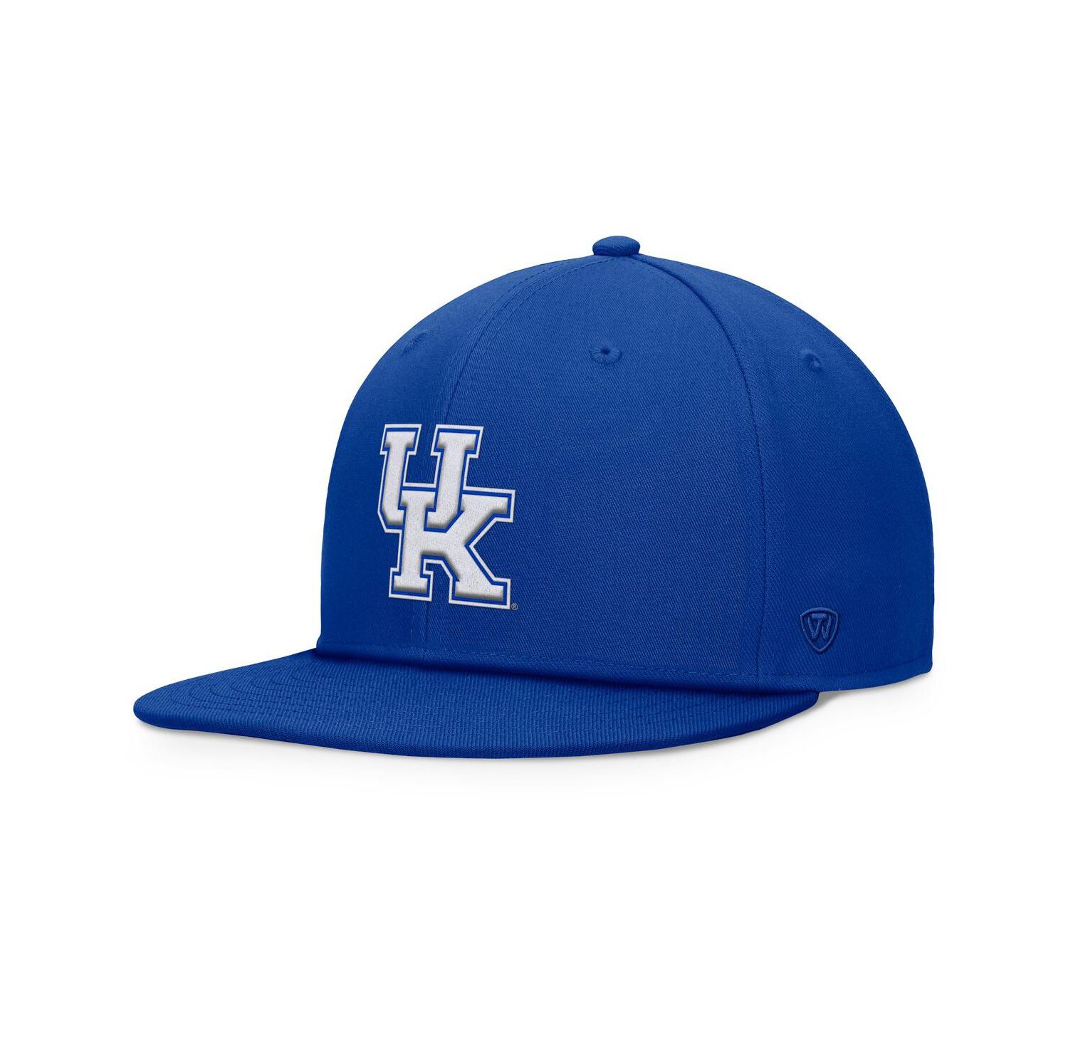 Men's Royal Kentucky Wildcats Fundamental Snapback Hat