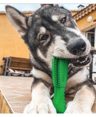 Dog Toothbrush Chew Toy