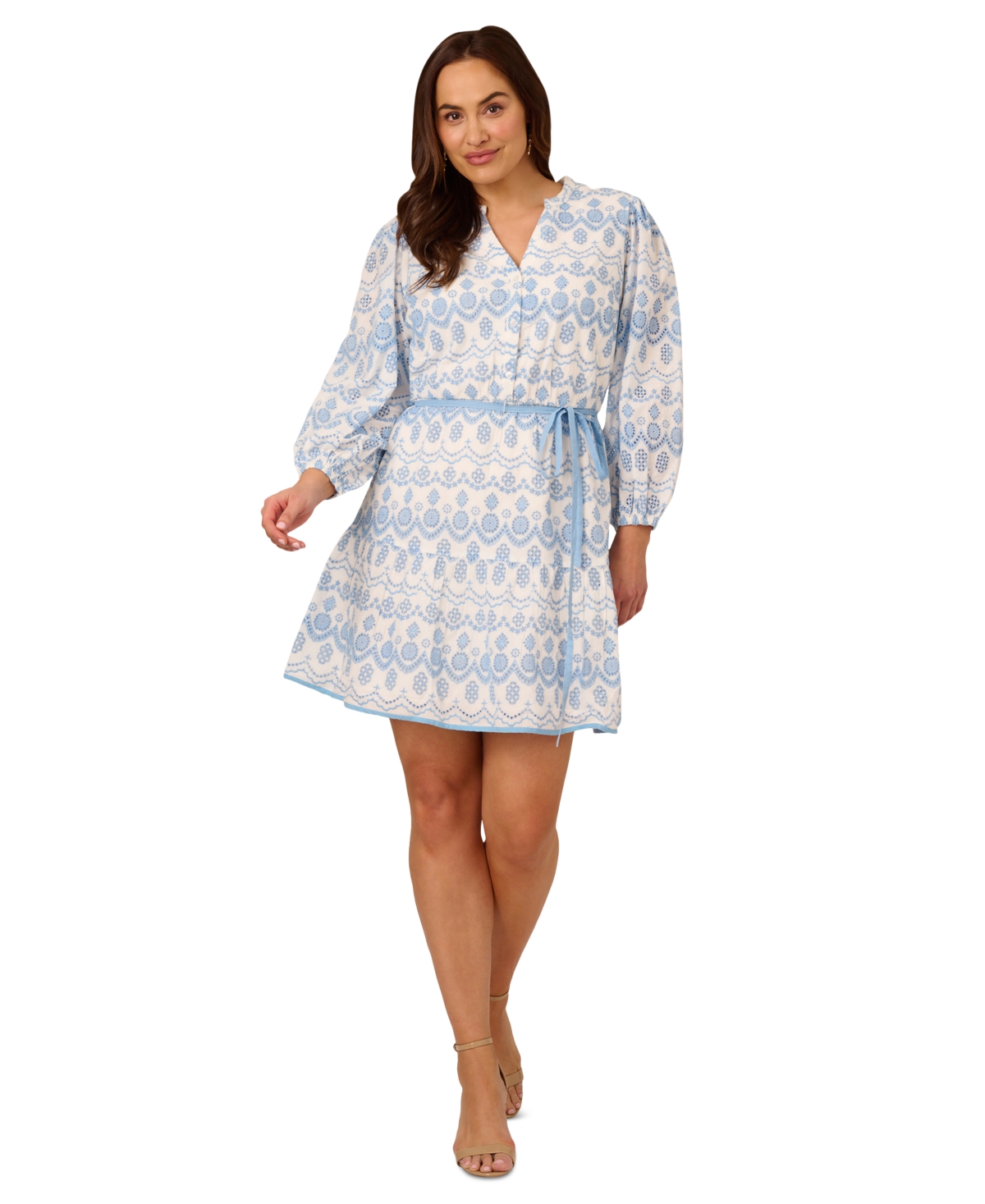 Shop Adrianna Papell Plus Size Cotton Eyelet Belted Dress In Light Blue,ivory