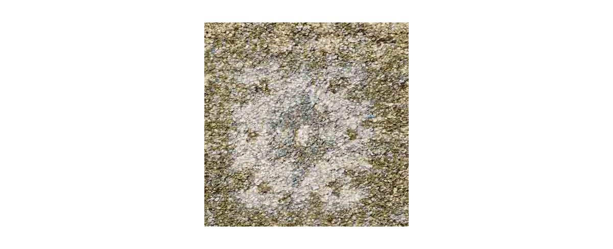 Loloi Tamryn Tam-03 5'3"x7'8" Area Rug In Sage,gray