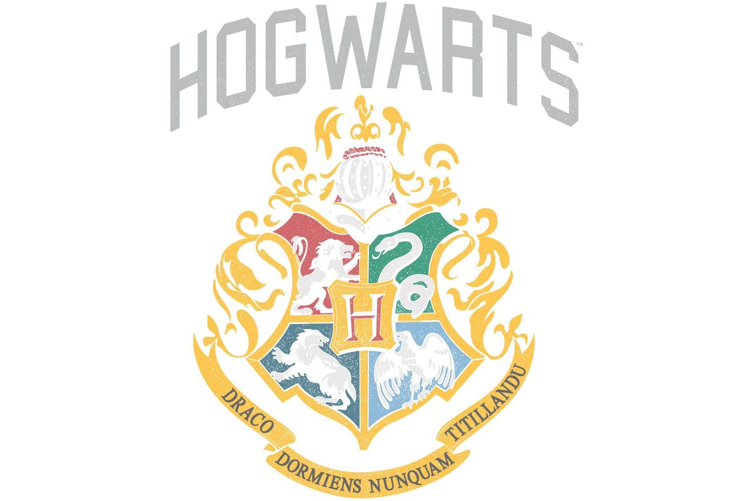 Men's Hogwarts Crest Charcoal Heather T-shirt-Small