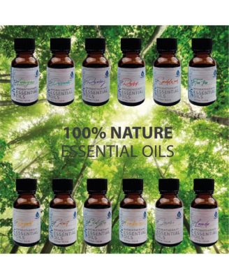 12 Pack of Aromatherapy Essential Oils