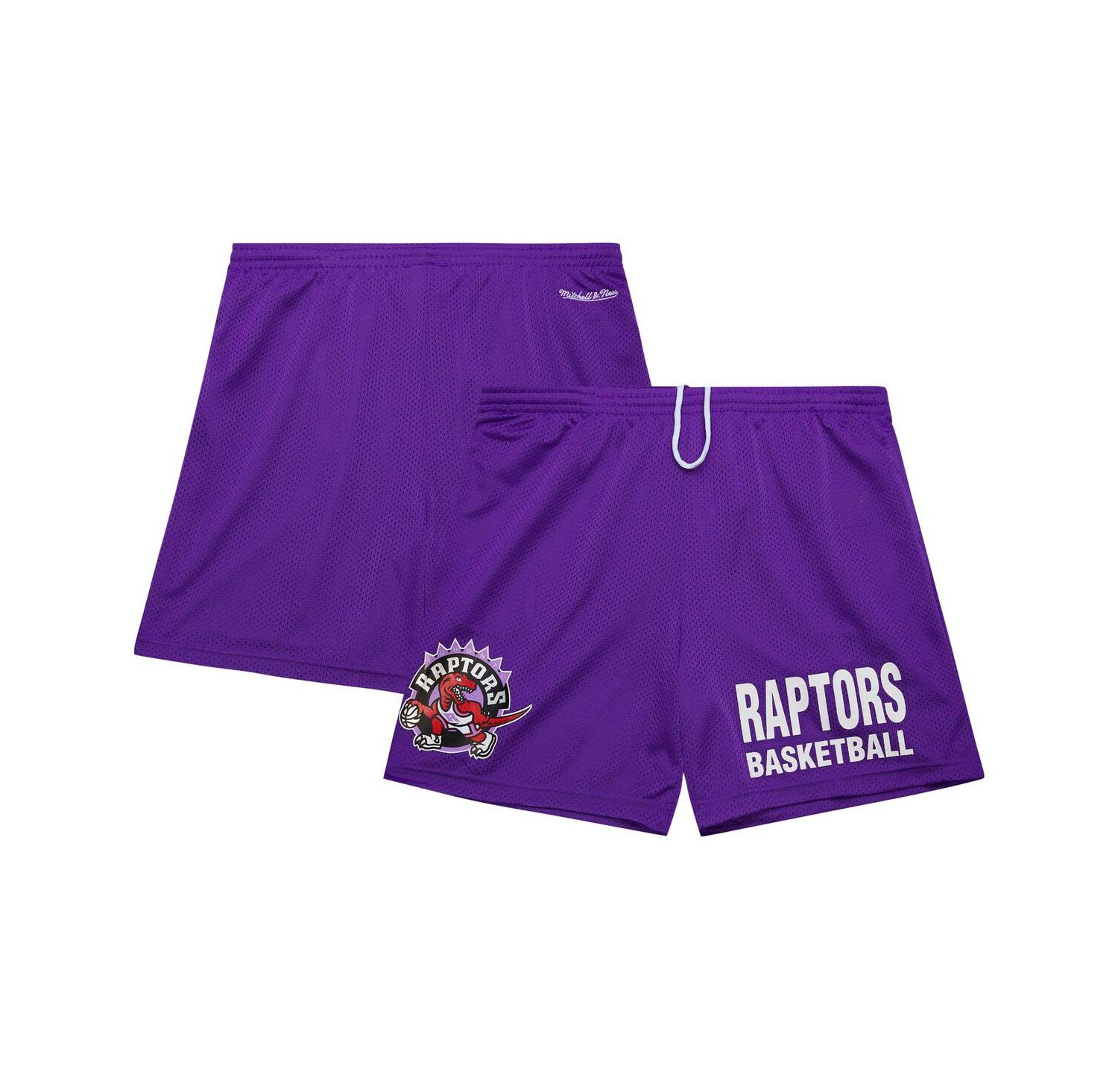 Men's Purple Toronto Raptors Hardwood Classics Gameday Mesh Shorts