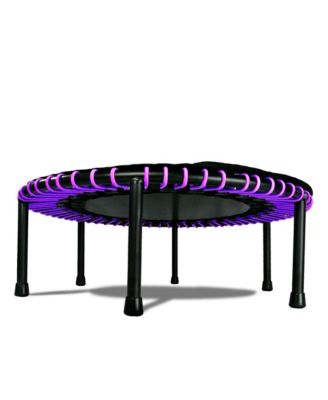 Leaps and Rebounds Fitness Trampoline, 40-inch or 48-inch |Adults and Kids Rebounder for Indoor and Outdoor, Up to 270 lbs | Lifetime Warranty | Low Impact Cardio and Easy Home Workout