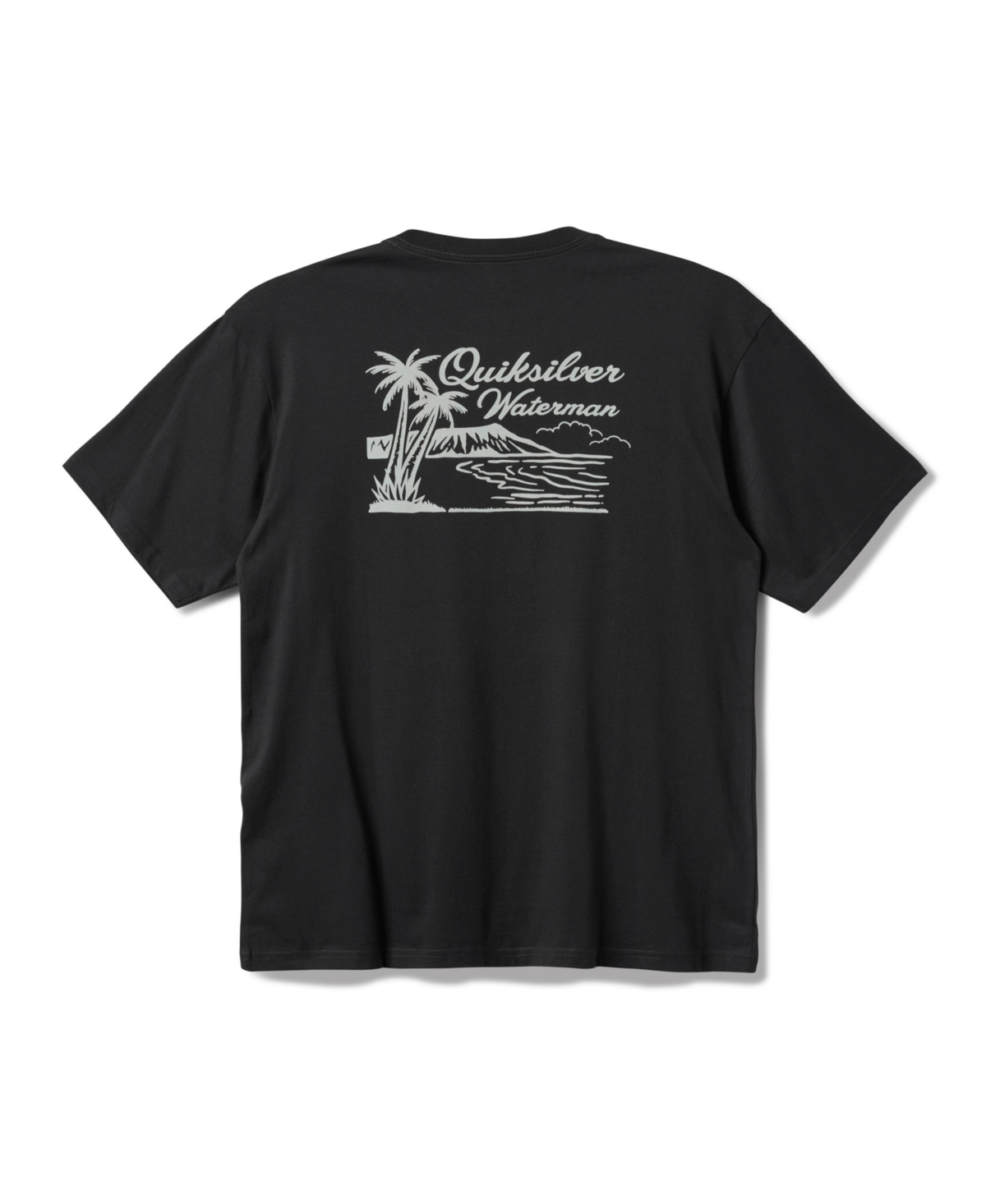 Quiksilver Waterman Men's Island Man Screen T-shirt