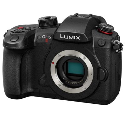 LUMIX GH5II Mirrorless Digital Camera with Panasonic LUMIX G X Vario 12-35mm F/2.8 II Aspherical Power O.I.S. Lens for MFT