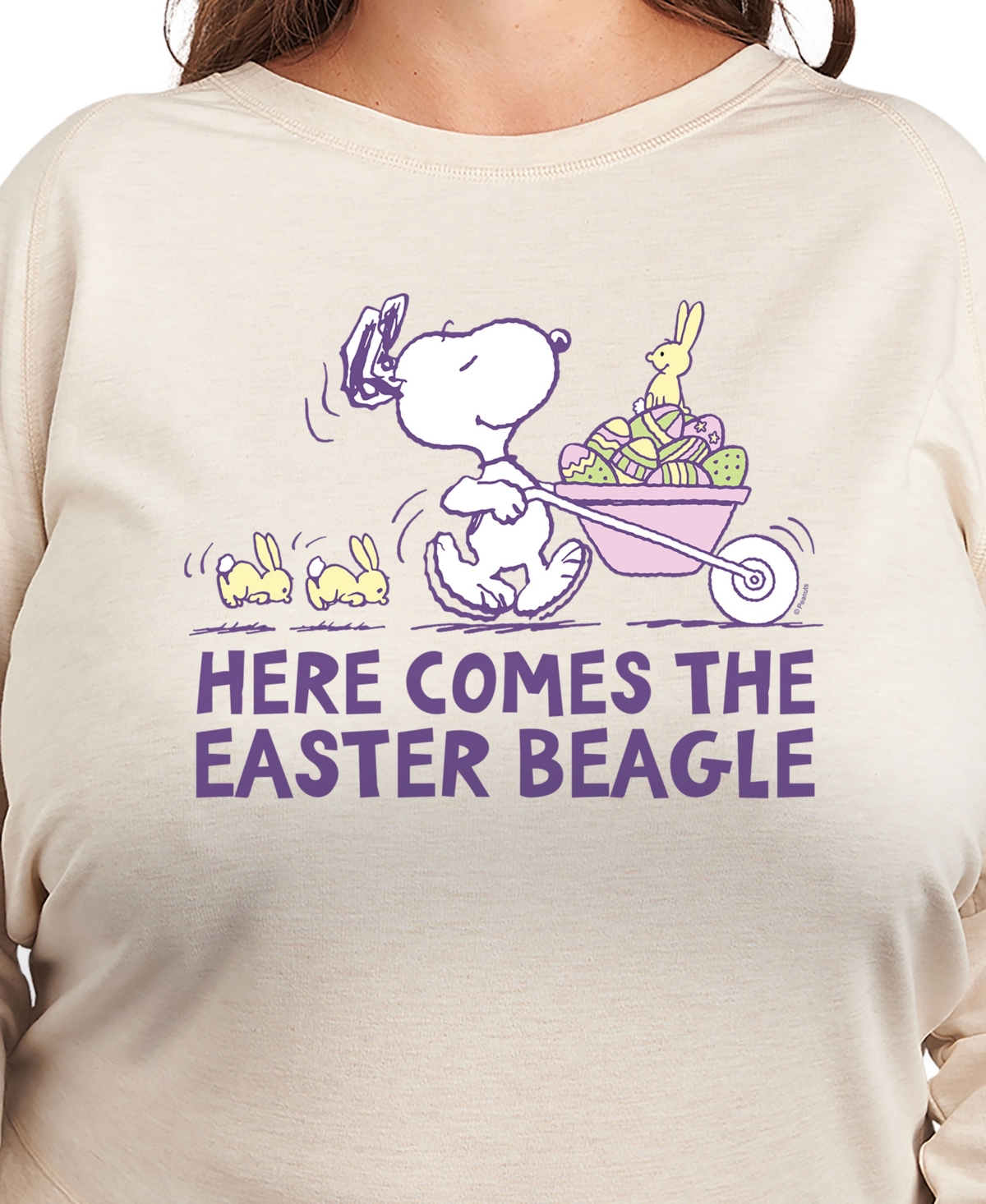 Hybrid Apparel Plus Size Peanuts Snoopy Easter Beagle Graphic Pullover T-shirt In Beige,khaki