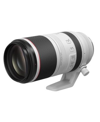 RF 100-500mm f/4.5-7.1 L IS USM Lens