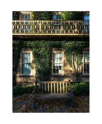 16mm f/1.4 DC DN Contemporary Lens for Canon RF