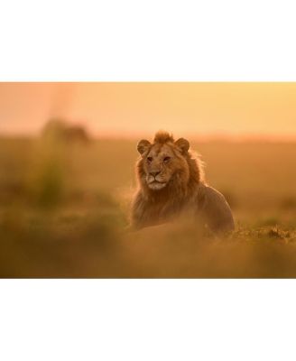 NIKKOR Z 400mm f/2.8 TC VR S Lens