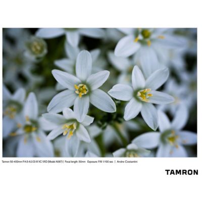 50-400mm f/4.5-6.3 Di III VC VXD Lens for Sony E